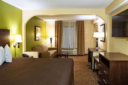 Rodeway Inn & Suites - image 16