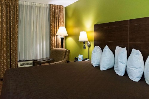Rodeway Inn & Suites - image 7