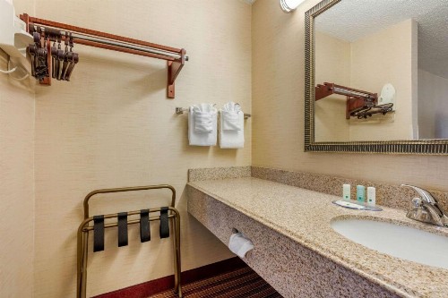 Quality Inn Exit 4 Clarksville - image 23