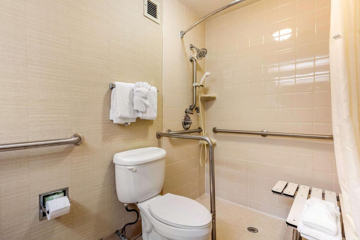 Quality Inn Exit 4 Clarksville - image 5