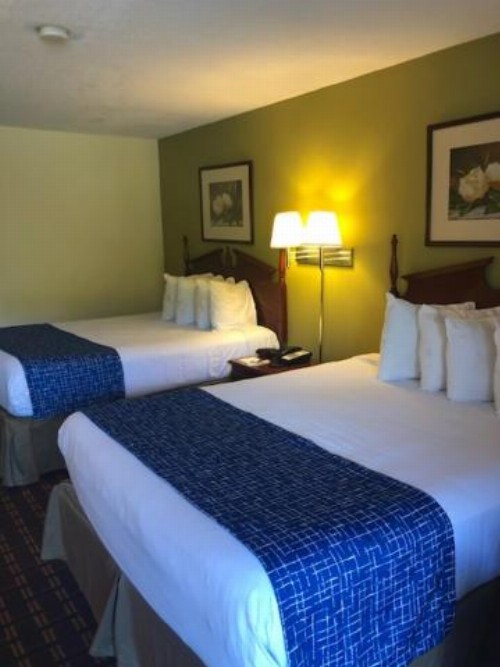 Travelodge by Wyndham Clarksville - image 13