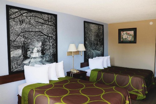 Super 8 by Wyndham Clarksville East - image 2