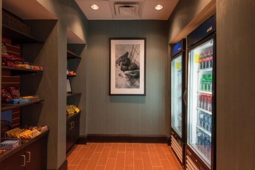 Hampton Inn & Suites Clarksville - image 11