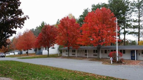 West Winds Motel & Cottages - image 26