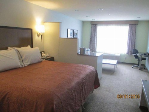 Best Western Snowcap Lodge - image 14