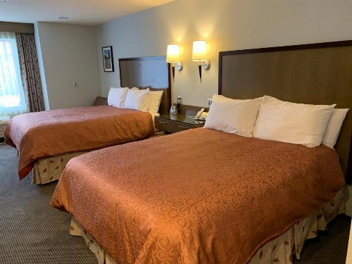Best Western Snowcap Lodge - image 3