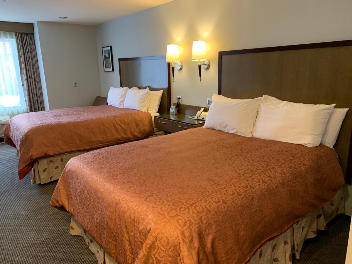 Best Western Snowcap Lodge - image 3
