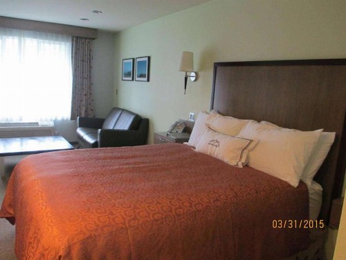 Best Western Snowcap Lodge - image 6