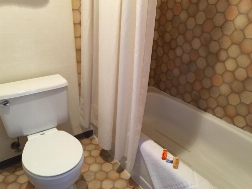 Timber Lodge Inn - image 22