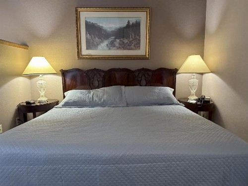 Timber Lodge Inn - image 47