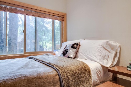 Cabin in the Woods - image 12