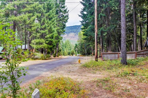 Cabin in the Woods - image 5