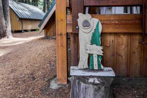 Cabin in the Woods - image 7