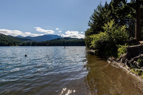 Cabin in the Woods - image 8