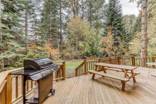 Yakima River Cabin - image 12