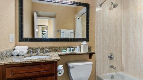 Holiday Inn Hotel & Suites Clearwater Beach an IHG Hotel - image 32