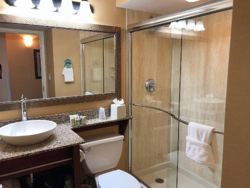 Holiday Inn Hotel & Suites Clearwater Beach an IHG Hotel - image 4