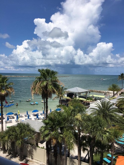 Gulfview Hotel - On the Beach - image 4