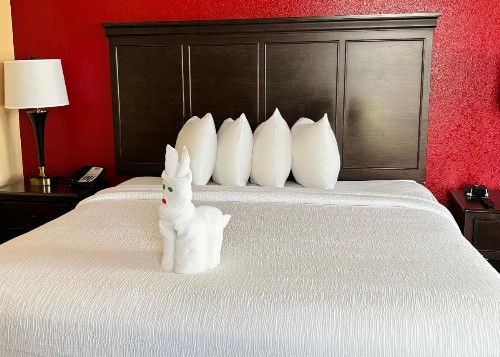 Pier House 60 Clearwater Beach Marina Hotel - image 4