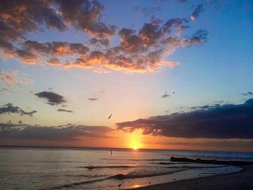 Gone Beaching 202 - image 28
