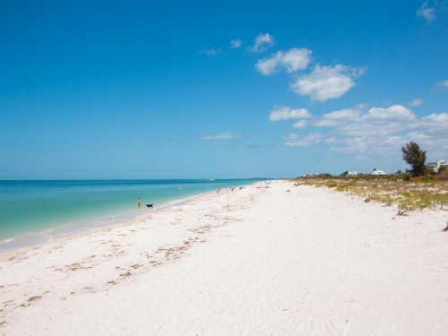 Gone Beaching 202 - image 7