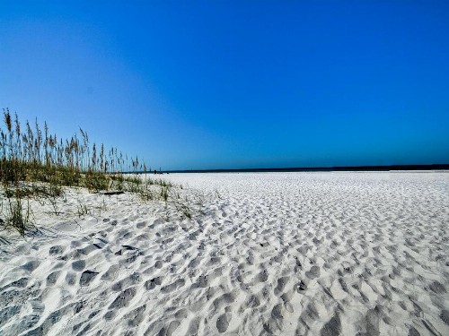 Palm Place 1 - Sabal Palm Beach getaway 624 - image 18