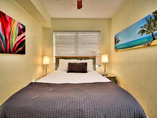 Palm Place 4- Royal Palm 621 - image 25