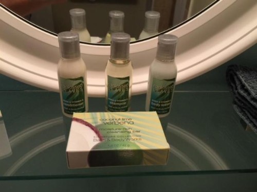 Palm Pavilion Inn - image 23