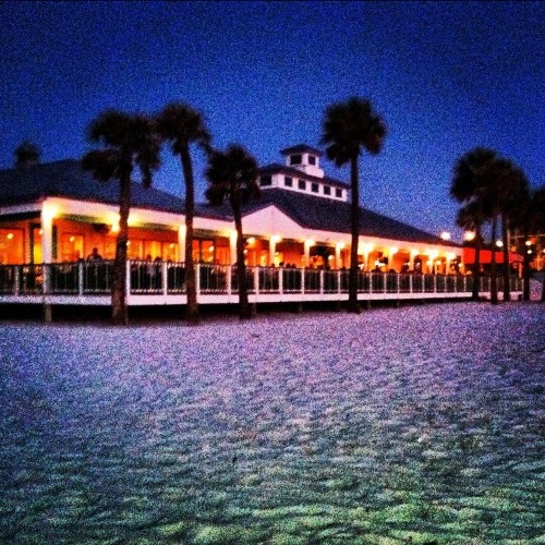 Palm Pavilion Inn - image 38