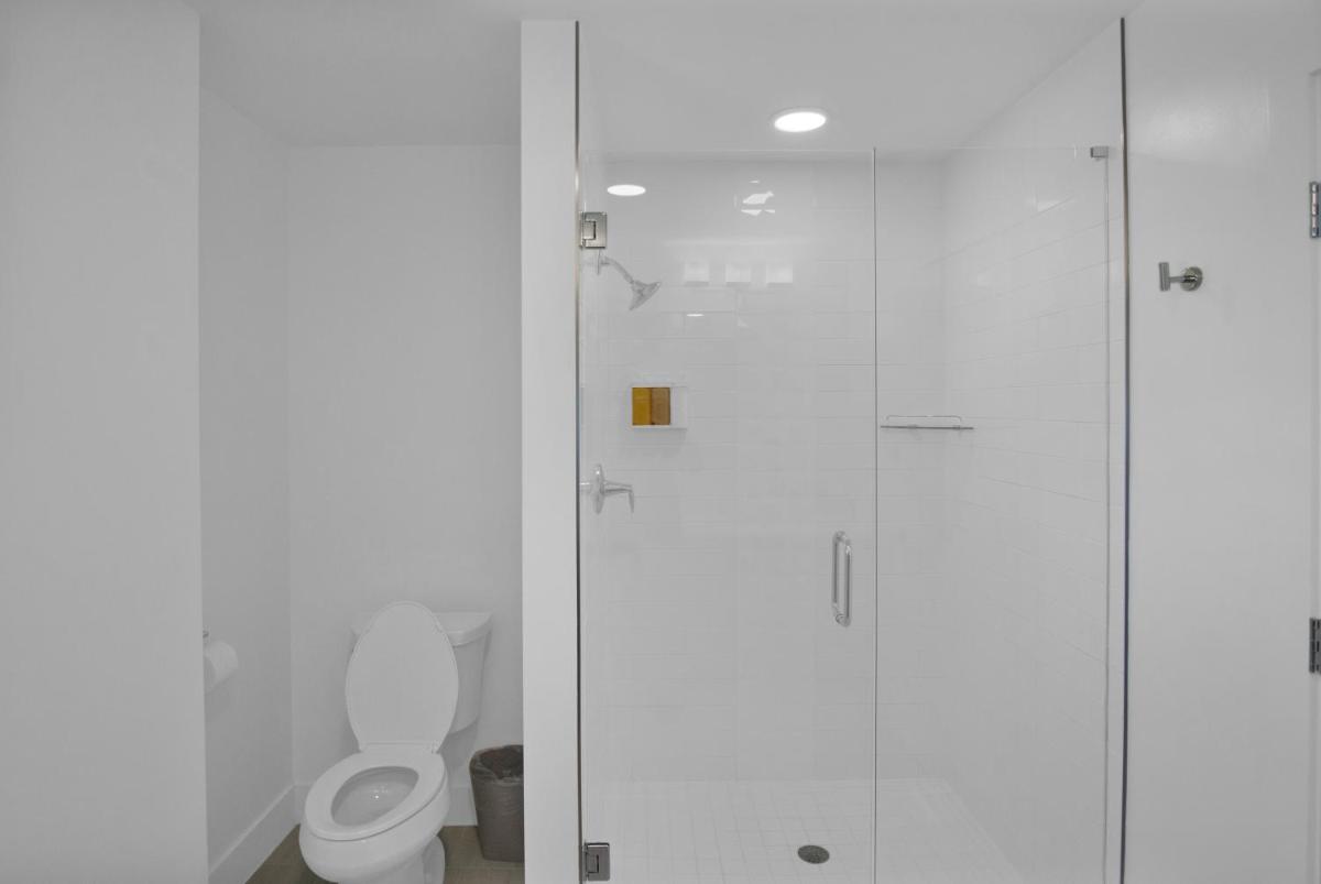 The Avalon Club - image 5