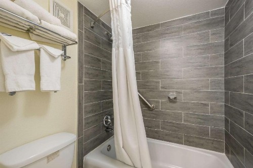 Clarion Inn & Suites Central Clearwater Beach - image 14