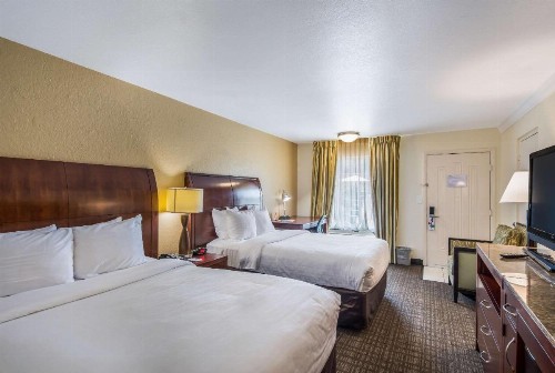 Clarion Inn & Suites Central Clearwater Beach - image 16