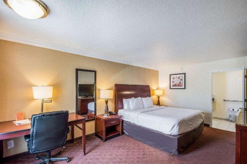 Clarion Inn & Suites Central Clearwater Beach - image 21