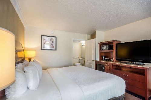 Clarion Inn & Suites Central Clearwater Beach - image 24