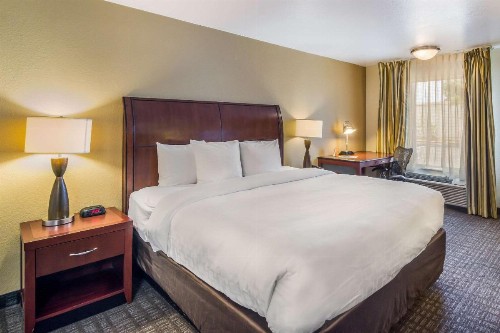 Clarion Inn & Suites Central Clearwater Beach - image 27