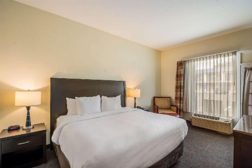 Clarion Inn & Suites Central Clearwater Beach - image 30