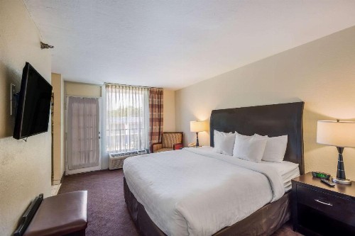 Clarion Inn & Suites Central Clearwater Beach - image 32