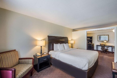 Clarion Inn & Suites Central Clearwater Beach - image 33
