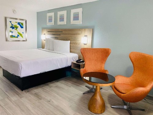 Magnuson Hotel Clearwater Central - image 19