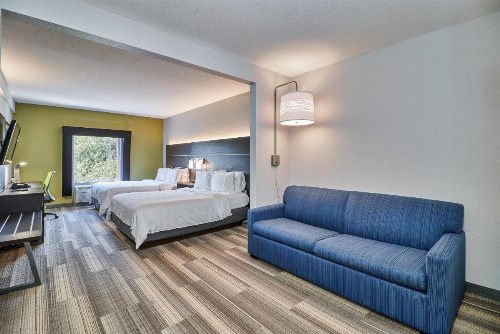Holiday Inn Express Hotel & Suites Clearwater US 19 North - image 19