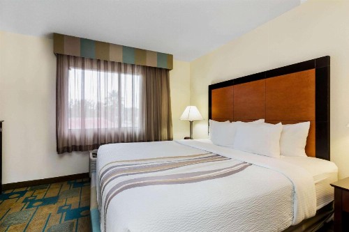 La Quinta by Wyndham St. Pete-Clearwater Airport - image 30