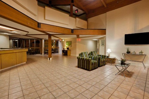 La Quinta by Wyndham St. Pete-Clearwater Airport - image 35