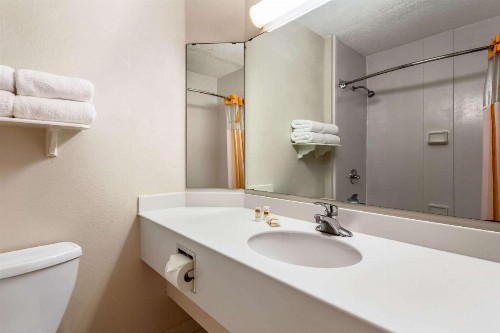 La Quinta by Wyndham St. Pete-Clearwater Airport - image 49