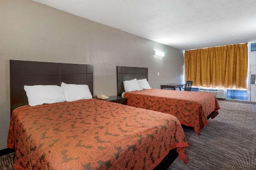 Rodeway Inn Clearwater-Largo - image 12
