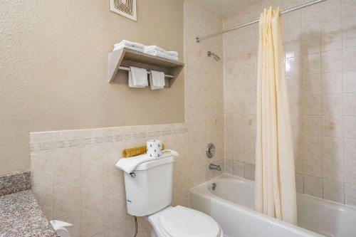 Rodeway Inn Clearwater-Largo - image 14