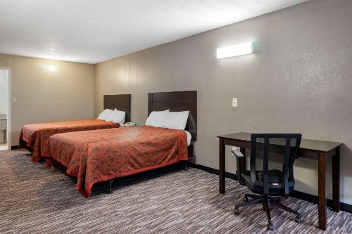 Rodeway Inn Clearwater-Largo - image 17