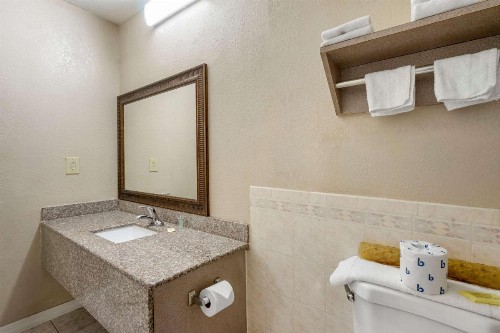 Rodeway Inn Clearwater-Largo - image 18