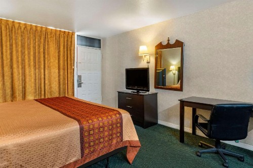 Rodeway Inn Clearwater-Largo - image 20