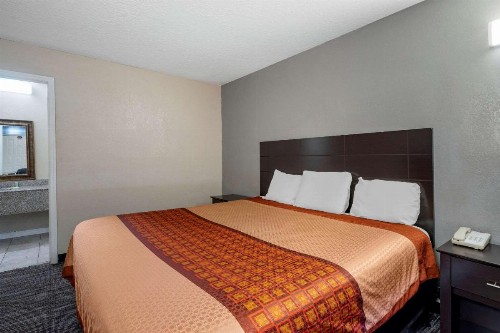 Rodeway Inn Clearwater-Largo - image 21