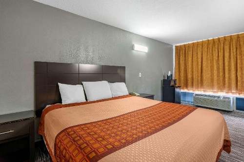 Rodeway Inn Clearwater-Largo - image 25